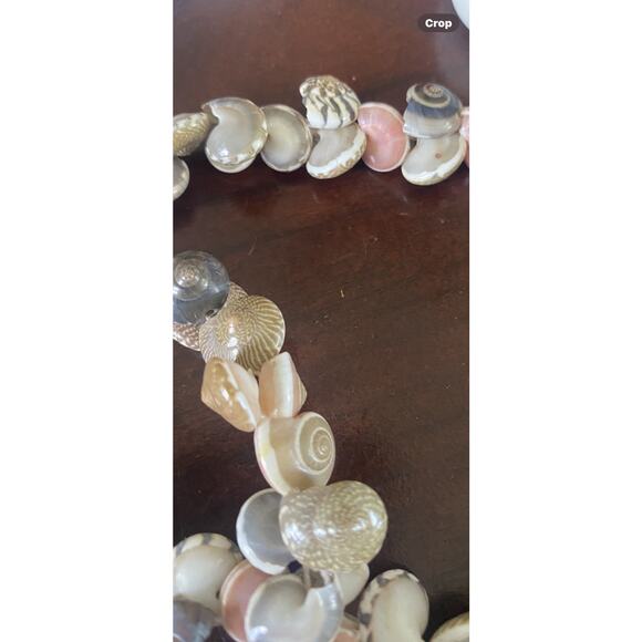 Seashell Necklace 28”Tiny Sundial & Nutmeg Shells No clasp - Picture 7 of 7